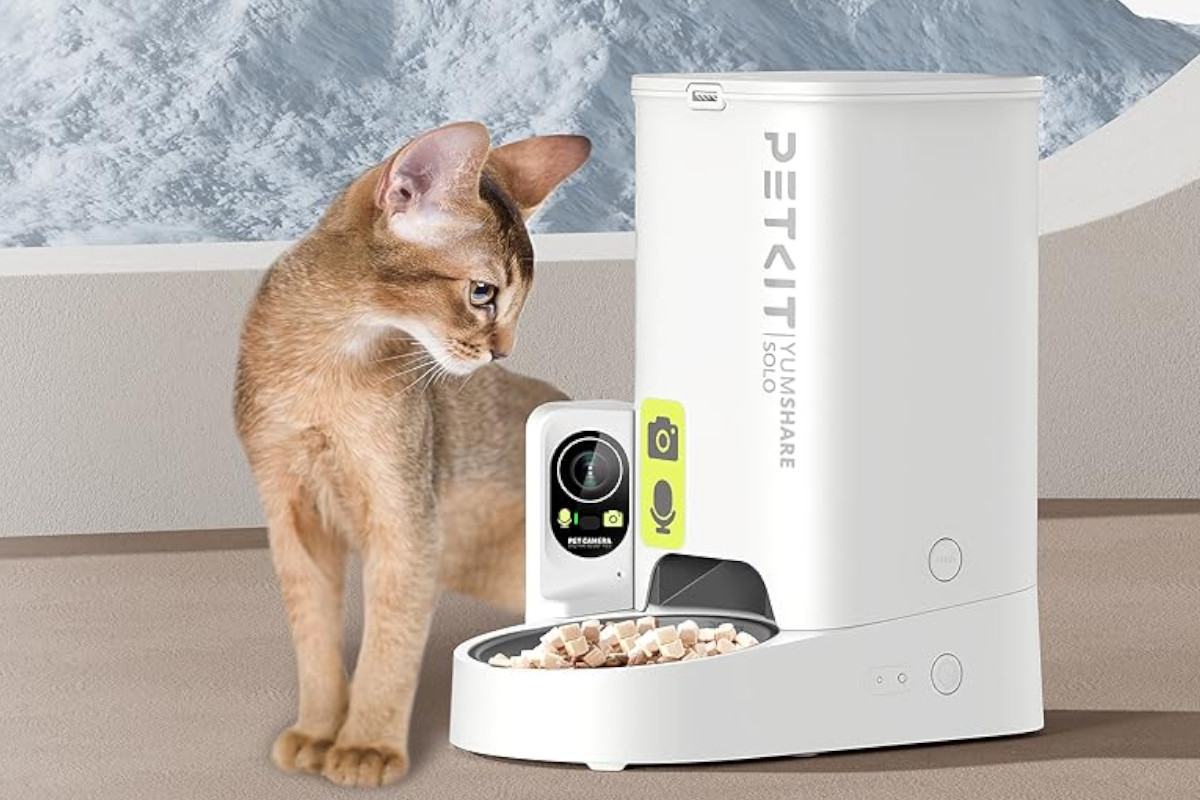 PETKIT YumShare Solo. Imagen: PETKIT