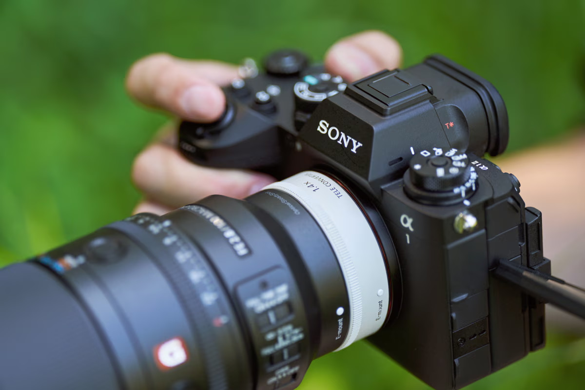 Sony FE 100 mm F2.8 Macro GM OSS. Imagen: Sony